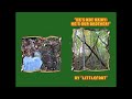 BIGFOOT/SABE/SASQUATCH PROTECTS MAN FROM BEAR? SABE audio shorts from the Appalachian Mtns...