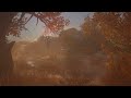 Assassin's Creed Mirage Ambience