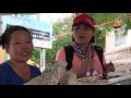 Travel In Cambodia ( Pailin ) Part 02