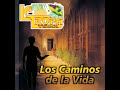 Los Caminos De La Vida