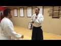 Aikido and its defense from kicks