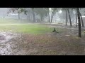Seminole, Alabama rain
