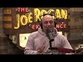 The Pinocchio and Epstein's Island Connection | Joe Rogan Experience