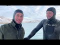 Spearfishing Giant Atlantic Halibut in the FREEZING Arctic!