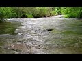 Relaxing river sounds, peaceful forest river flowing ever so gently calms your inner being.  3 hours