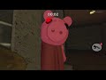 Some piggy funny moments!!