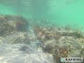 Santa Marta snorkeling