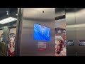 Jacksons Elevator At The Hollywood Bowl Dagenham (Going Down)