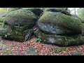 Exploring Allegany State Park, New York