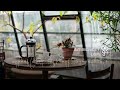 🌼 Indoor Plants, Window Glance 🪟 | Lo-fi, Work, Study, Focus, Chill, Relax, Sleep #lofimusic #lofi