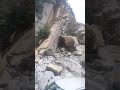 Himachal Landslide July 2021