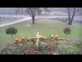 Our Skeleton Watching it Rain. Sounds of Thunder.Very Relaxing.