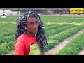 பாலைவனத்தில் எப்படி விவசாயம் பண்றாங்க | Kuwait Desert Farming 😱 | Gobinath