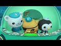 @Octonauts - One Hour Special Compilation | Cartoons for Kids | Wizz