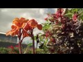 Great British Garden Revival - Episode 2: Topiary and Roof Gardens
