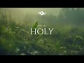 YOU ARE HOLY - Soaking worship instrumental | Prayer and Devotional
