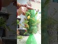 waste bottle 🍾 se maine banaya aaj simple sa planter 🪴🥀or flowers pot 🪴#gardening #plantlover #diy