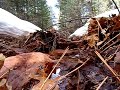 Relaxing river stream near Mcgaffey at Hilso trail 20 minutes