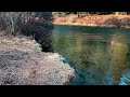 Campsites #6 #5, #4 - BEST WALK-IN CAMPSITES @ Allen Springs Campground! | Metolius River Oregon 4K