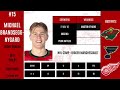 TOP 15 POSPECTS IN THE 2024 NHL DRAFT (Highlights & Analysis)