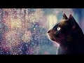 [MY CAT HARP MUSIC] 잔잔하고 고요한 하프소리 고양이음악 반려동물 음악테라피 (cat lullaby, white noise)