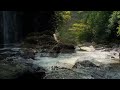 RELAXING RIVER SOUNDS WITH BIRDS, NATURE SOUNDS, WATER SOUNDS, RELAXING NATURE SOUNDS