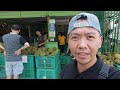 World's Finest Fruit Musang King! - 2024 Prices & Where to Eat Varieties of Durian In Malaysia City