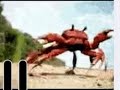 Dancing crabs