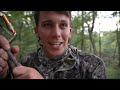 I SHOT A DEER AT 60 YARDS! (unbelievable shot) *bow hunting