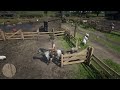Letting out all sheeps !!! Red Dead Redemption 2