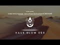 1 hour Melodic/Organic/Progressive House 2024 DJ & Electric Violin Mix by Alfiya Glow |Haus Glow 056