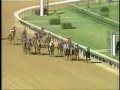 War Emblem - 2002 Kentucky Derby