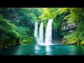 Relaxing Waterfall Sounds, Birds Singing in the Forest | Relax, Deep Sleep, Stress Relief