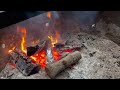 Sống Chậm Nơi Camping - Thú Vui Ngày Hè Ở Mỹ -Pitboss BBQ Quails -Lò Pitboss Siêu Tiện Lợi- Vlog 205