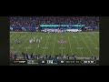 Black Cats Runs on Field during Cowboys-Giants game