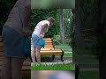 🔥Tripping Over Nothing Prank 🤣 #comedy #funny #pranks