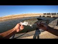 GREAT Fishing Day at the California Aqueduct