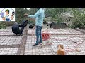 ছাদে পাইপ ফেলার নিয়ম Rules for laying pipes on the roof