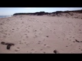 Singing Sands (Basin Head) beach, PEI, Canada