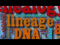 Learn Genealogy - Research Notes - Episode 6