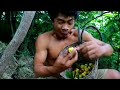 survival in Beautiful forest area - Rich Fruits at up the hill