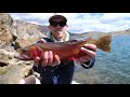 Fly Fishing a High Alpine Lake! (Dream Fish Pt. 1) || THE COLORADO SERIES