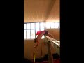 Slow motion superman pole vaulting