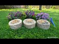 4K TV For Cats | Pleasantly Purple Flowers | Bird and Squirrel Watching | Video 32