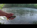 River Trout Fishing After Rain - What Can I Catch? Trying out a Kastmaster Spoon