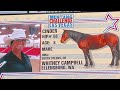 Wild HORSES compete for $125K~ Mustang Challenge MAKEOVER FINALS!