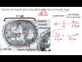 Calculating Magnification (IB Biology)