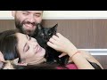 CAT PURRING HEALING POWER VIBRATIONS ✧120hz ✧ RELIEVE ANXIETY, STRESS & SLEEP ✧ FOR HUMANS & CATS 4K