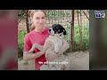 Trembling Dog Finally Lets Someone Hold Him | The Dodo