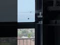 Spider demolishes fly